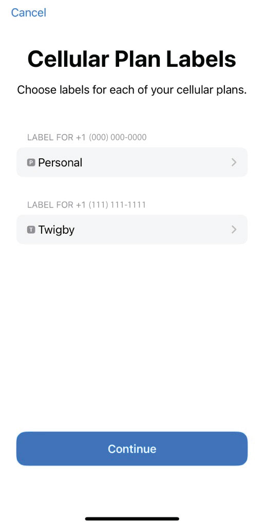 How do I activate eSIM on iPhone 12 or earlier? Twigby Help & Support