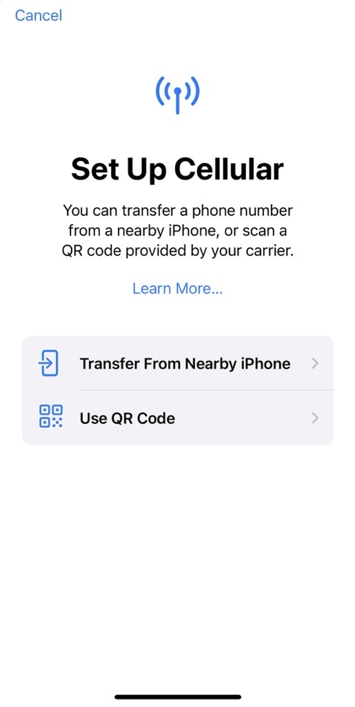 Setup Cellular eSIM.jpg
